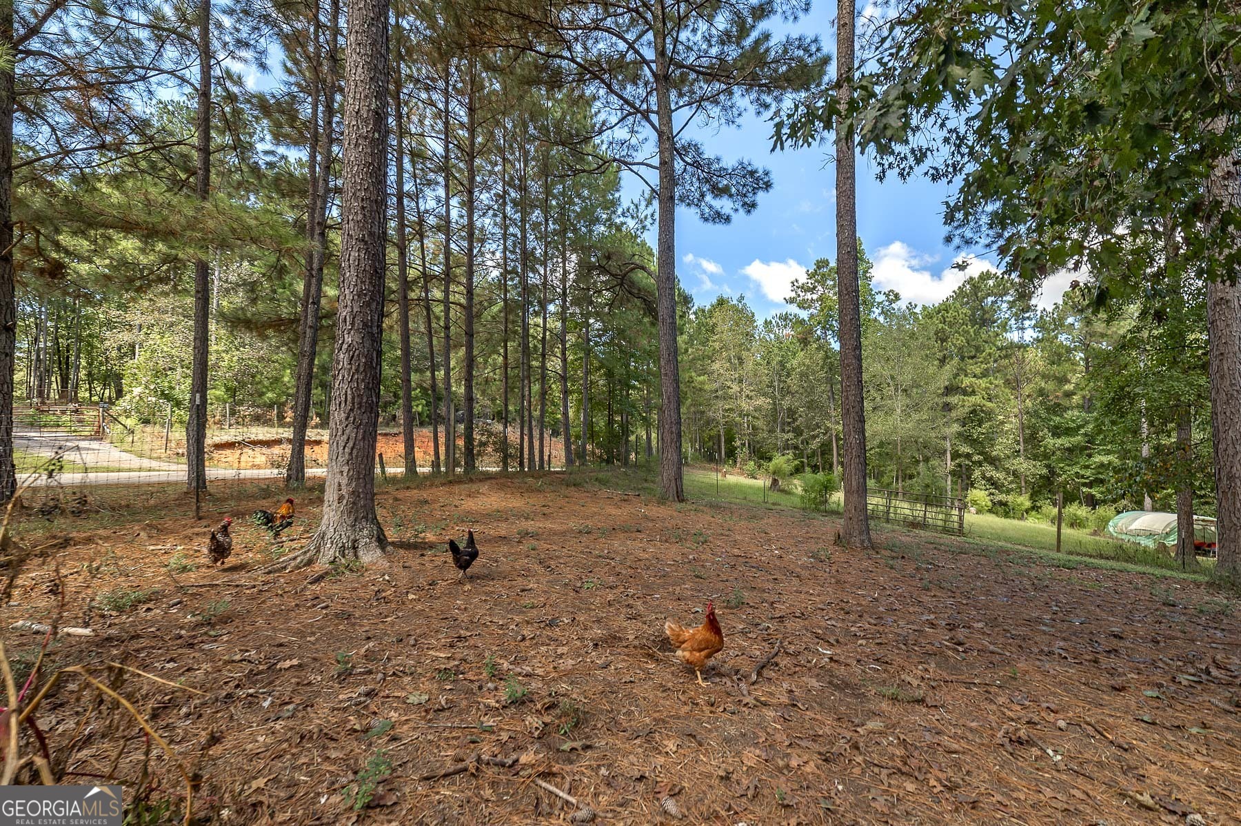 447 Grandview Road Mansfield, GA 30055 - Photo 34 of 65