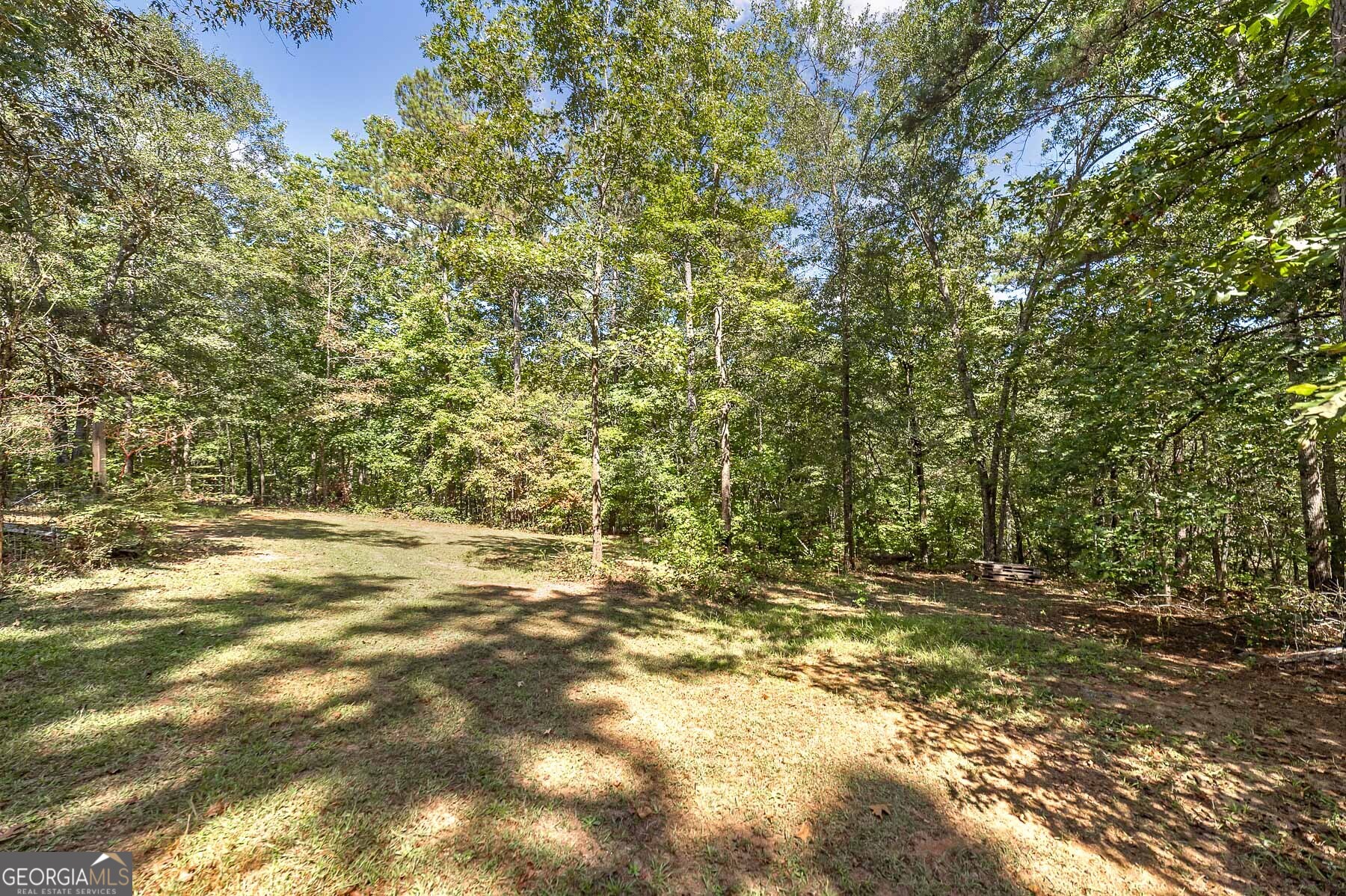 447 Grandview Road Mansfield, GA 30055 - Photo 42 of 65 a view of a yard with a tree