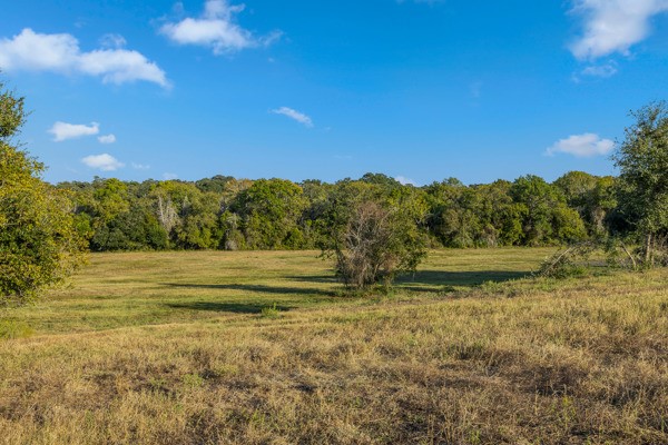 Lane-lot 14 Round Top, TX 78954 - Photo 4 of 9 a view of lake view and mountain view