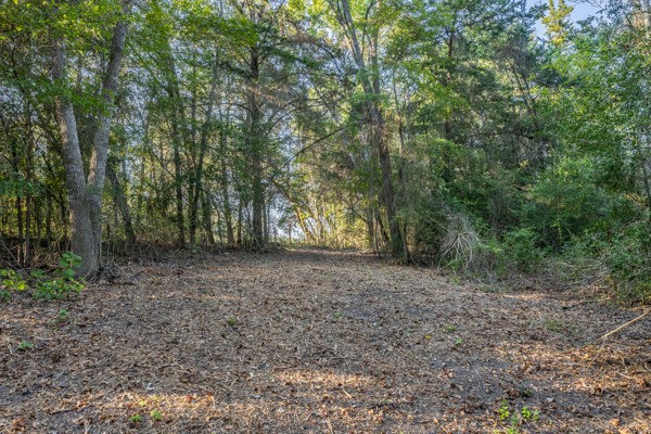 Lane-lot 14 Round Top, TX 78954 - Photo 5 of 9 a view of a yard with a tree