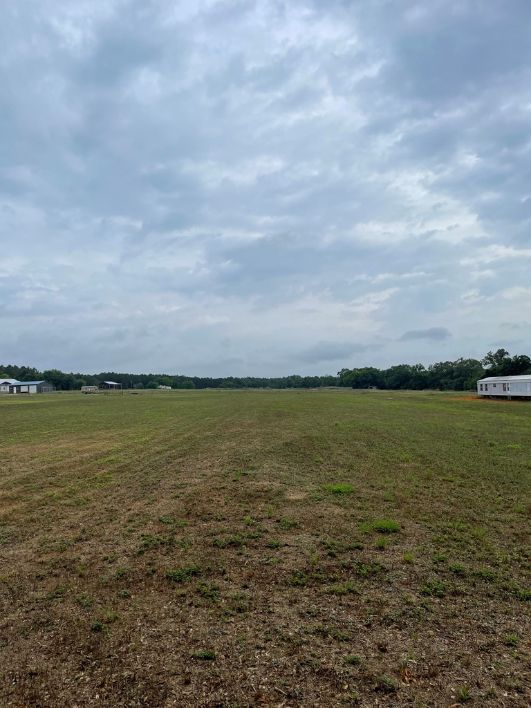 Lot 9 Bill Yance Road Ashford, AL 36312 - Photo 5 of 6