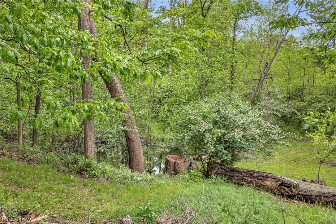 8704 Columbia Road Olmsted Falls, OH 44138 - Photo 34 of 34 wooded area of yard