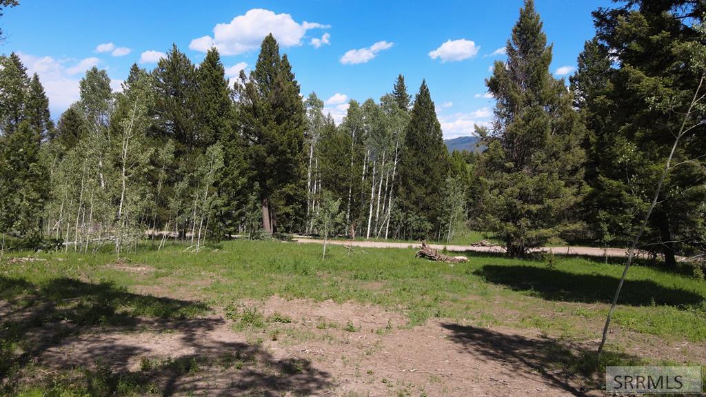 4920 Alpenglow Way Island Park, ID 83429 - Photo 1 of 15 Main View