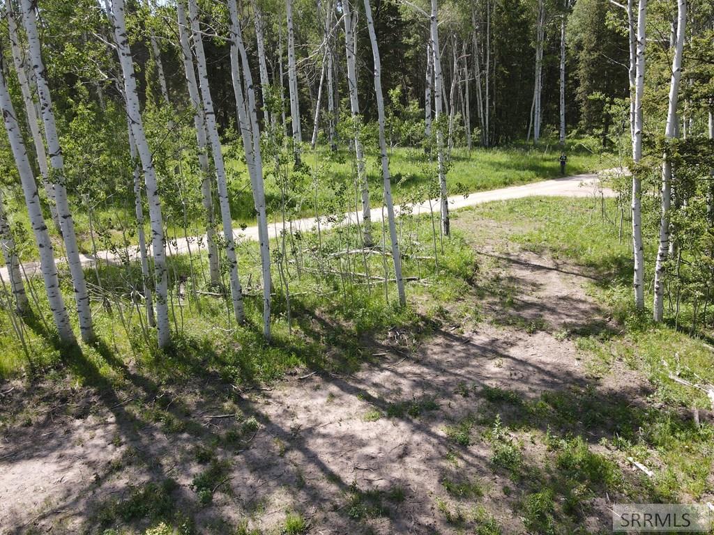 4920 Alpenglow Way Island Park, ID 83429 - Photo 11 of 15