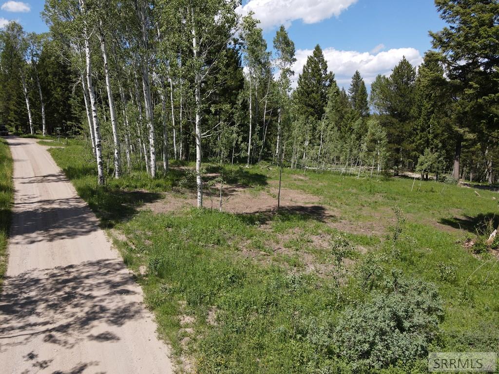4920 Alpenglow Way Island Park, ID 83429 - Photo 14 of 15