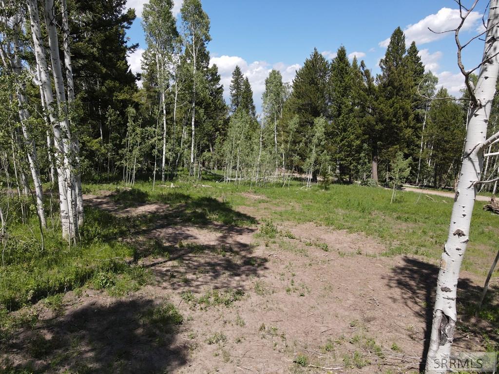 4920 Alpenglow Way Island Park, ID 83429 - Photo 15 of 15