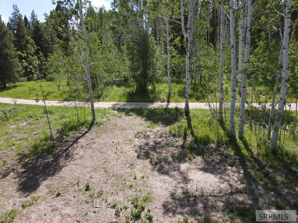 4920 Alpenglow Way Island Park, ID 83429 - Photo 4 of 15