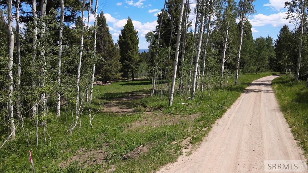 4920 Alpenglow Way Island Park, ID 83429 - Photo 6 of 15