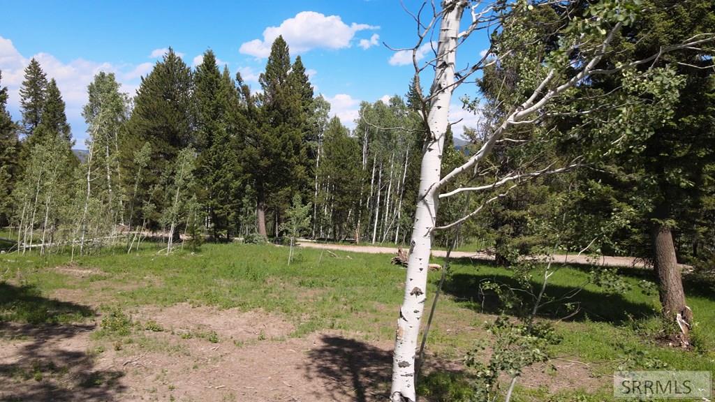 4920 Alpenglow Way Island Park, ID 83429 - Photo 9 of 15