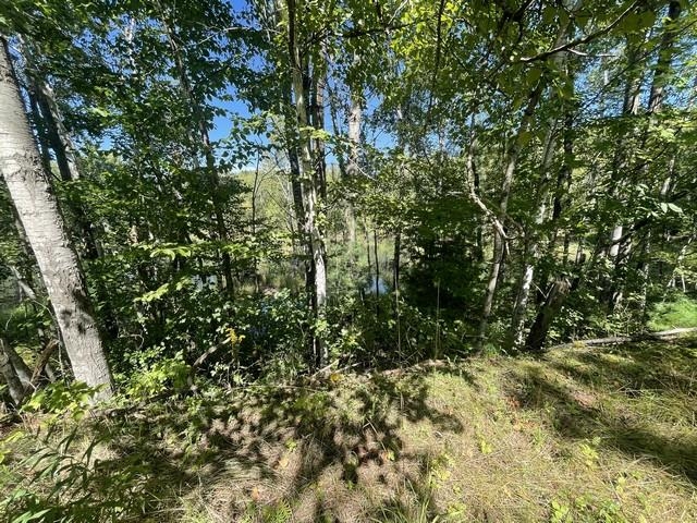 Lot 4 Skyview Road Mosinee, WI 54455 - Photo 8 of 17