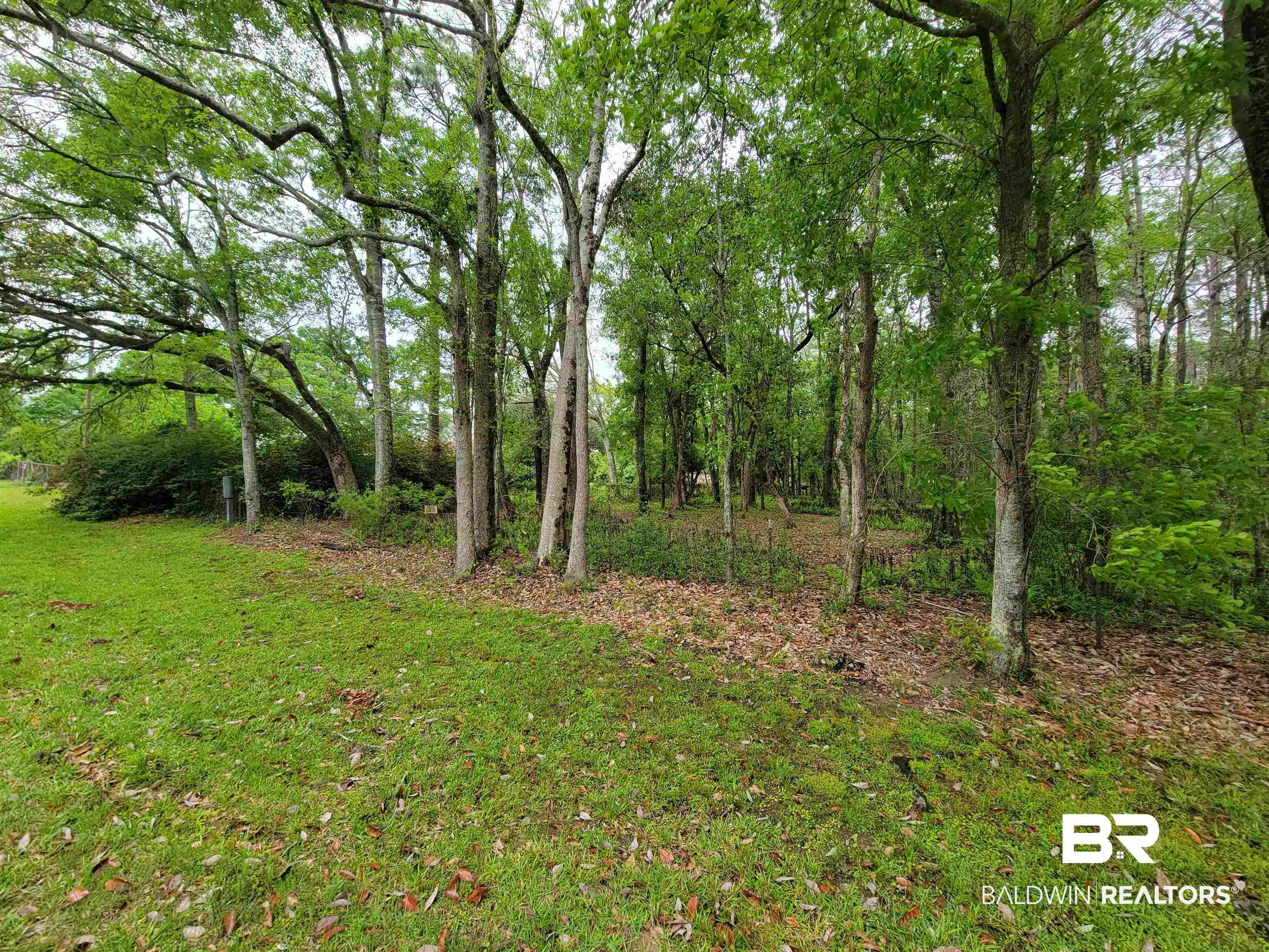 10 County Road Foley, AL 36535 - Photo 3 of 17 Gallery Image 3