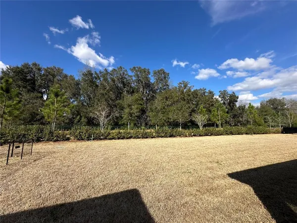 a view of an outdoor space and a yard