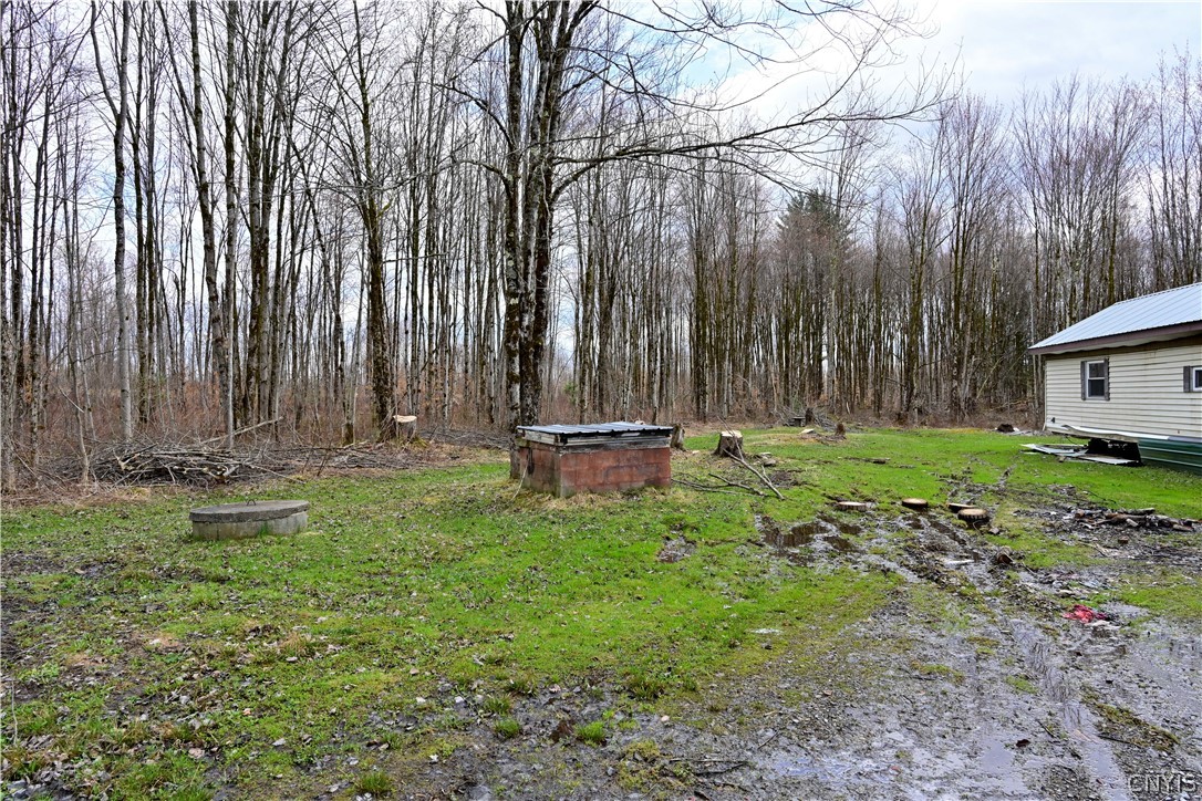 4980 Streun Road Taberg, NY 13471 - Photo 3 of 6