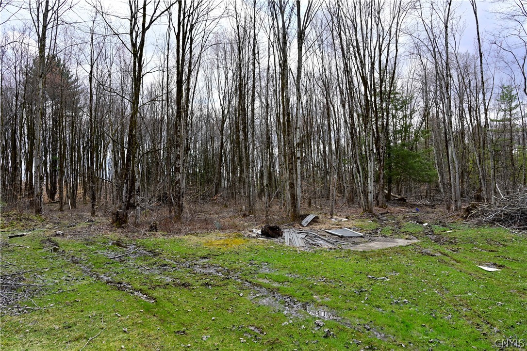 4980 Streun Road Taberg, NY 13471 - Photo 5 of 6