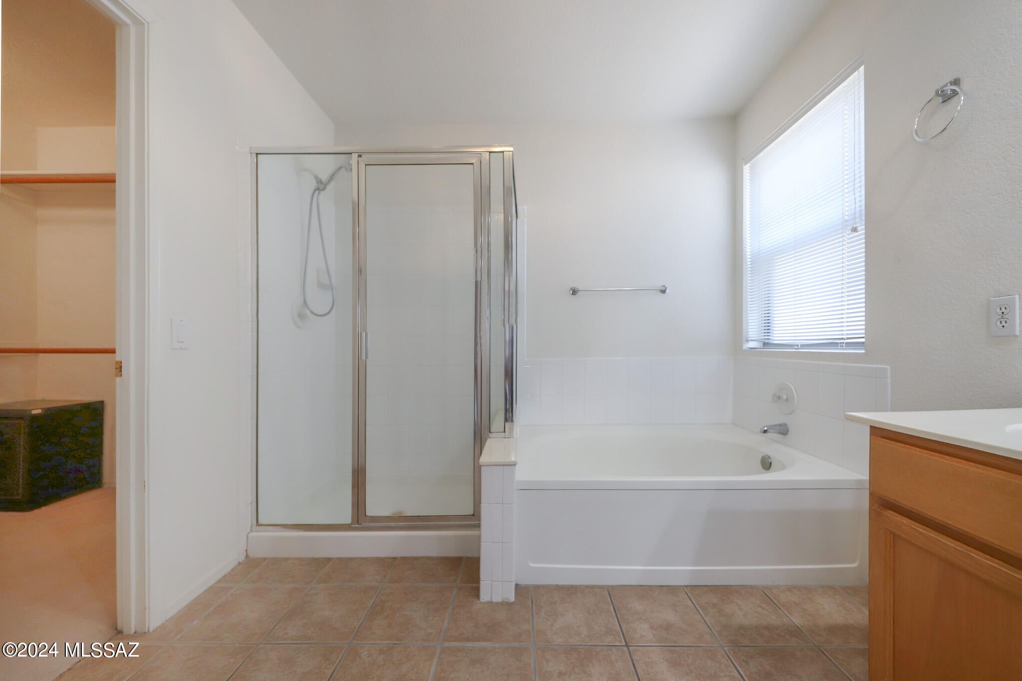 831 South Rincon Rising Road Tucson, AZ 85748 - Photo 14 of 33 Primary bathroom