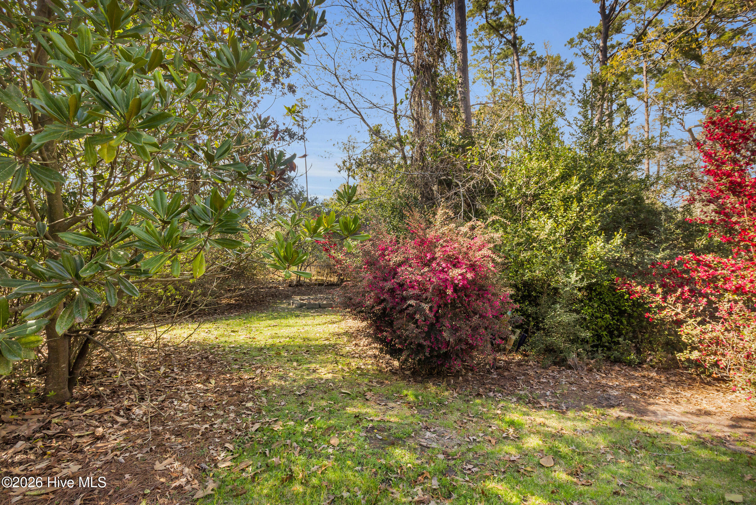609 Edgehill Road Trent Woods, NC 28562 - Photo 35 of 49 Back