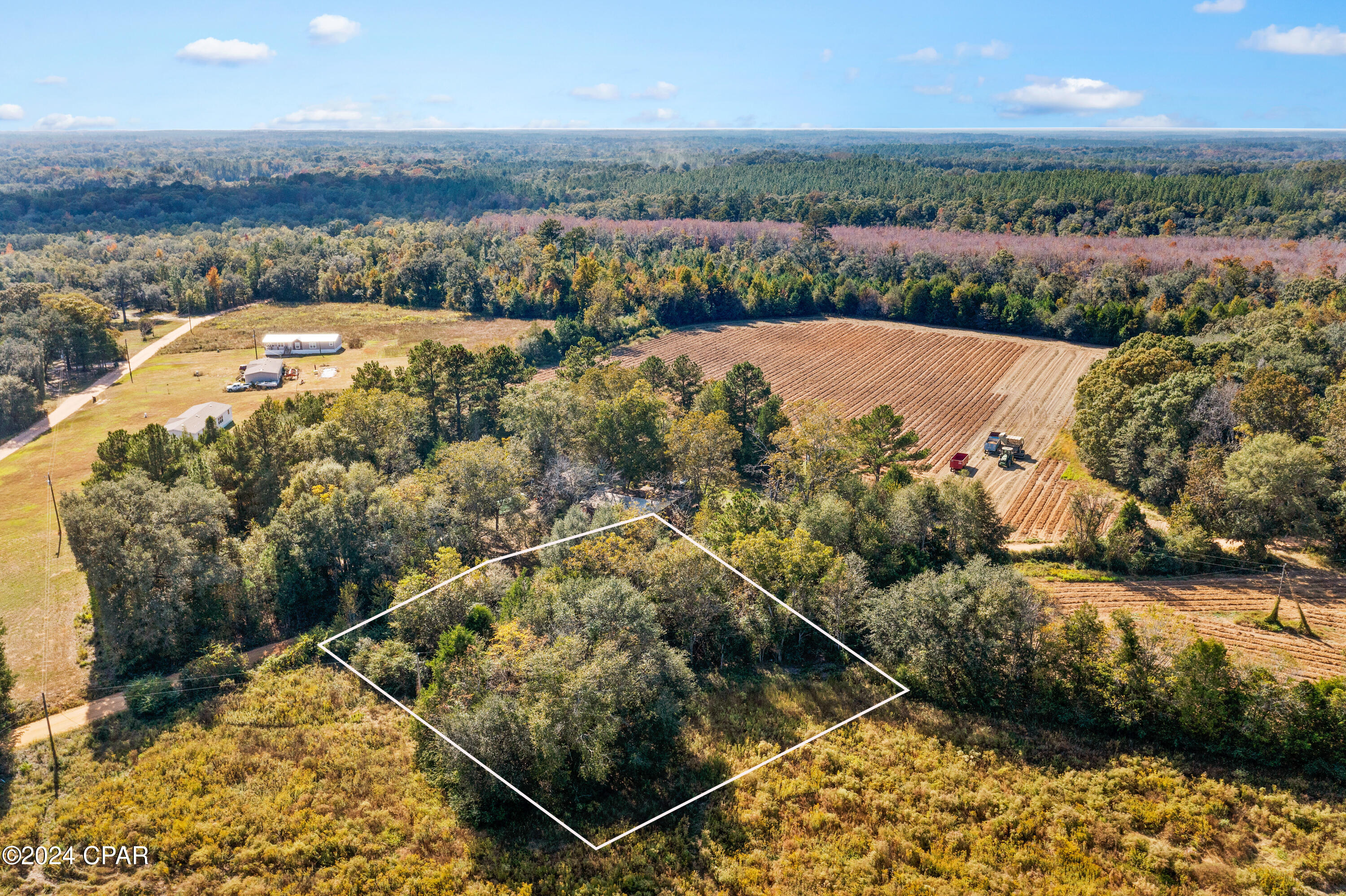 Xxx Leamon Smith Road Bonifay, FL 32425 - Photo 2 of 9