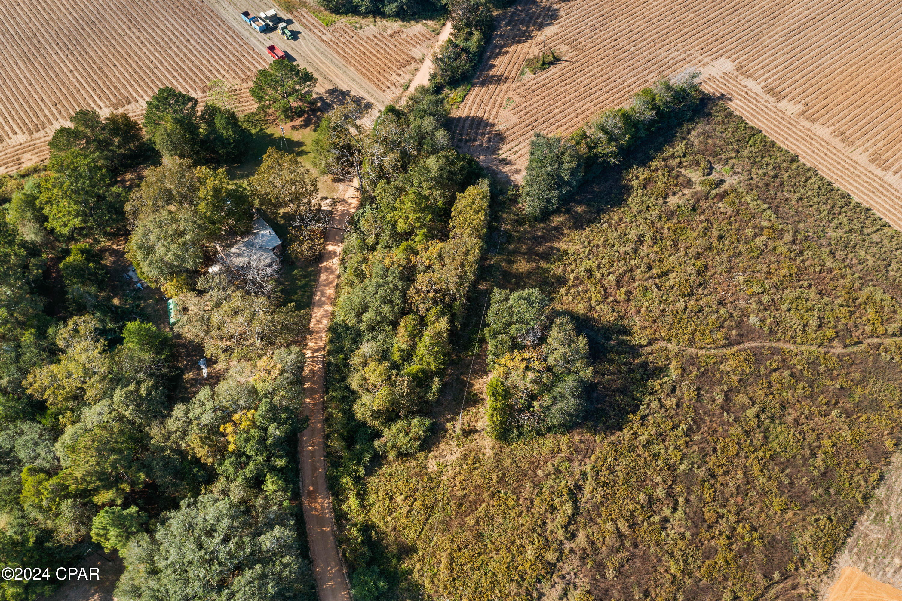 Xxx Leamon Smith Road Bonifay, FL 32425 - Photo 4 of 9