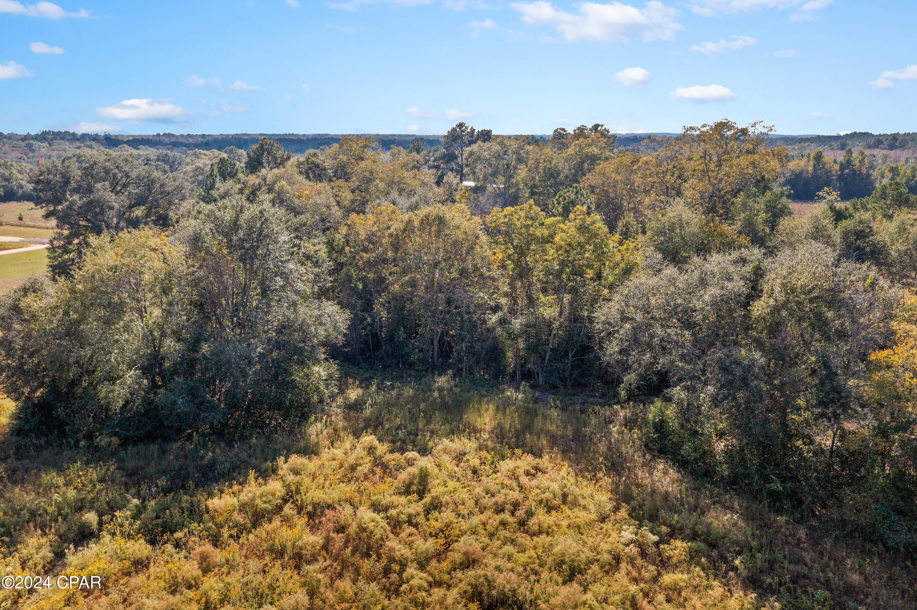 Xxx Leamon Smith Road Bonifay, FL 32425 - Photo 6 of 9
