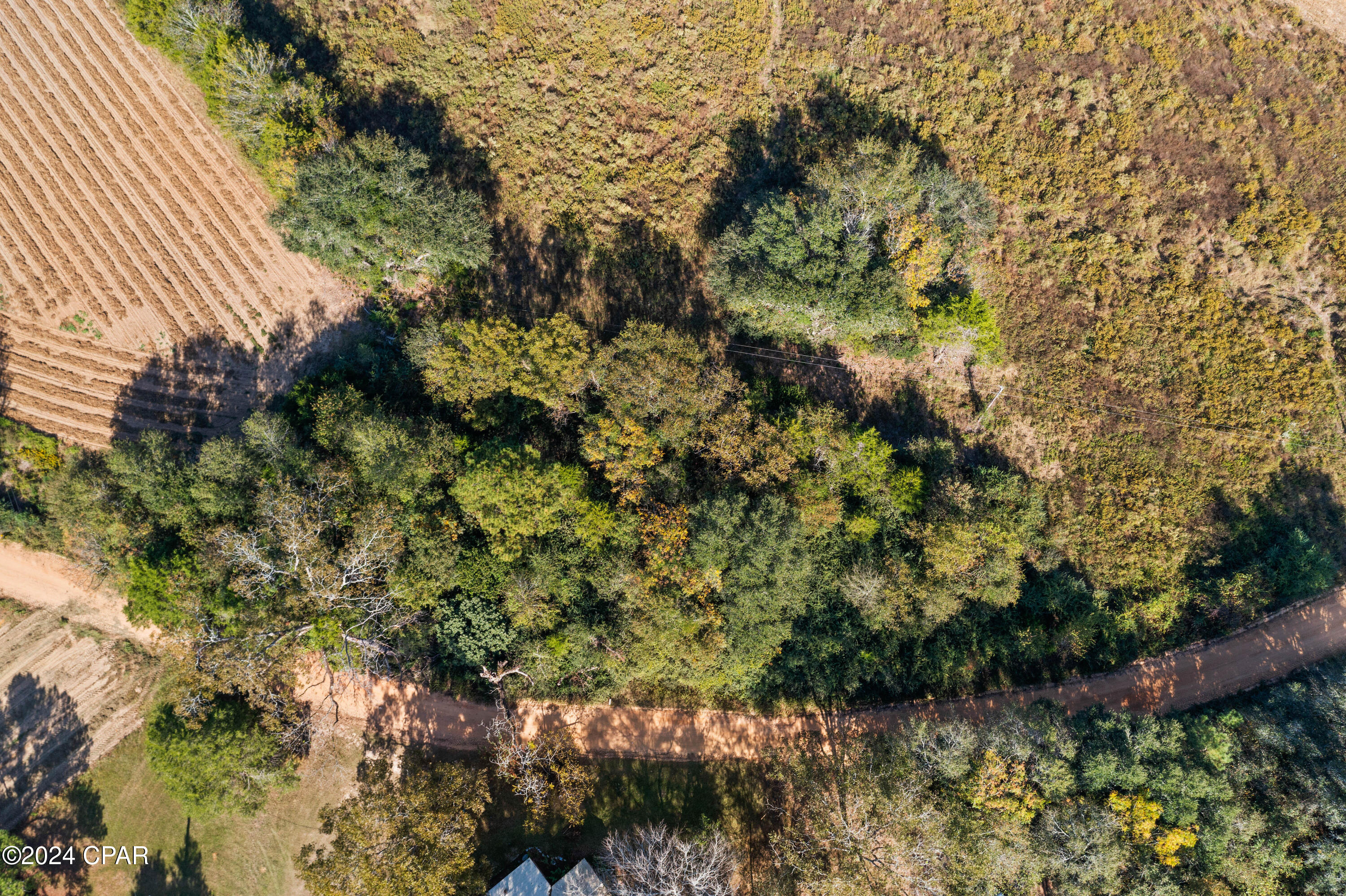 Xxx Leamon Smith Road Bonifay, FL 32425 - Photo 8 of 9