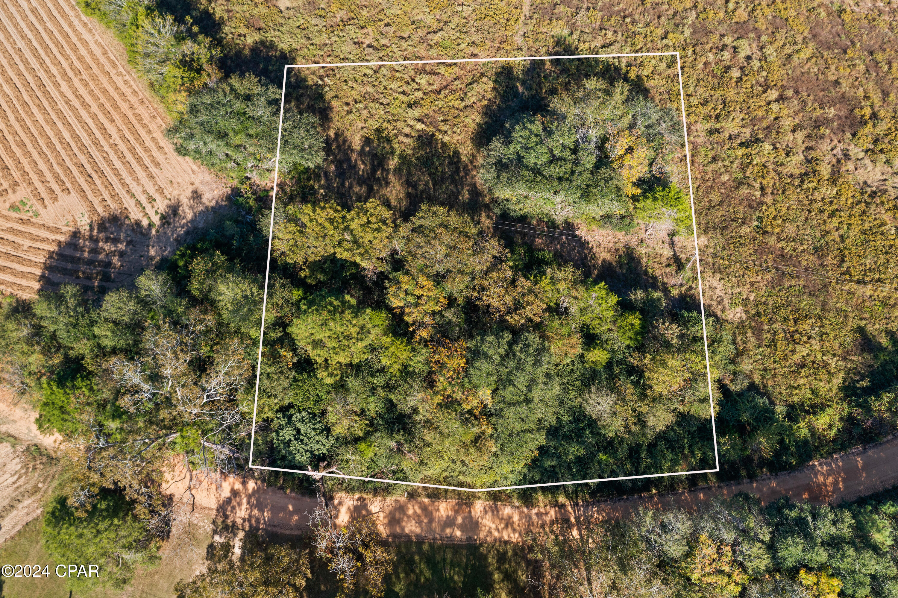 Xxx Leamon Smith Road Bonifay, FL 32425 - Photo 9 of 9