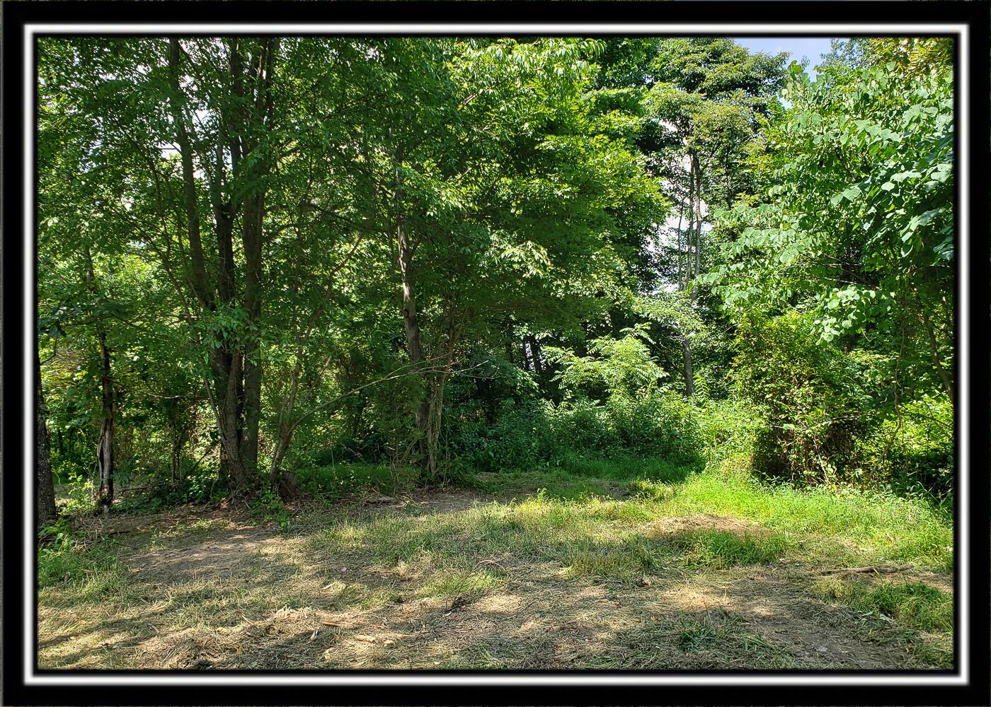 0 Bethel Road, Unit TRACT 4 Patriot, OH 45658 - Photo 26 of 35 CT-26