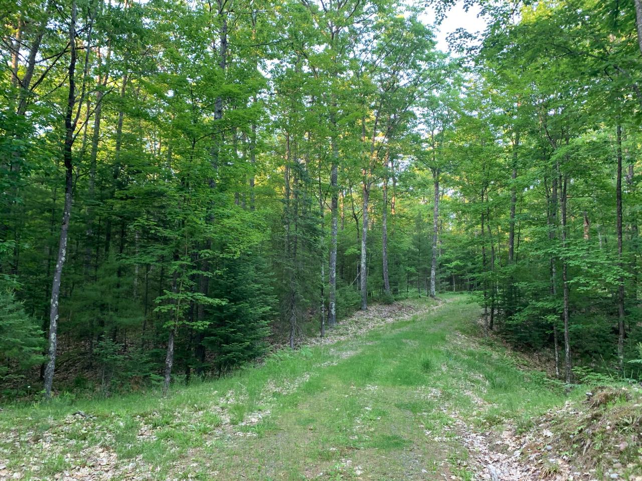 On Interlocken Road, Unit LOT 4 Hazelhurst, WI 54531 - Photo 7 of 17 Gallery Image 7