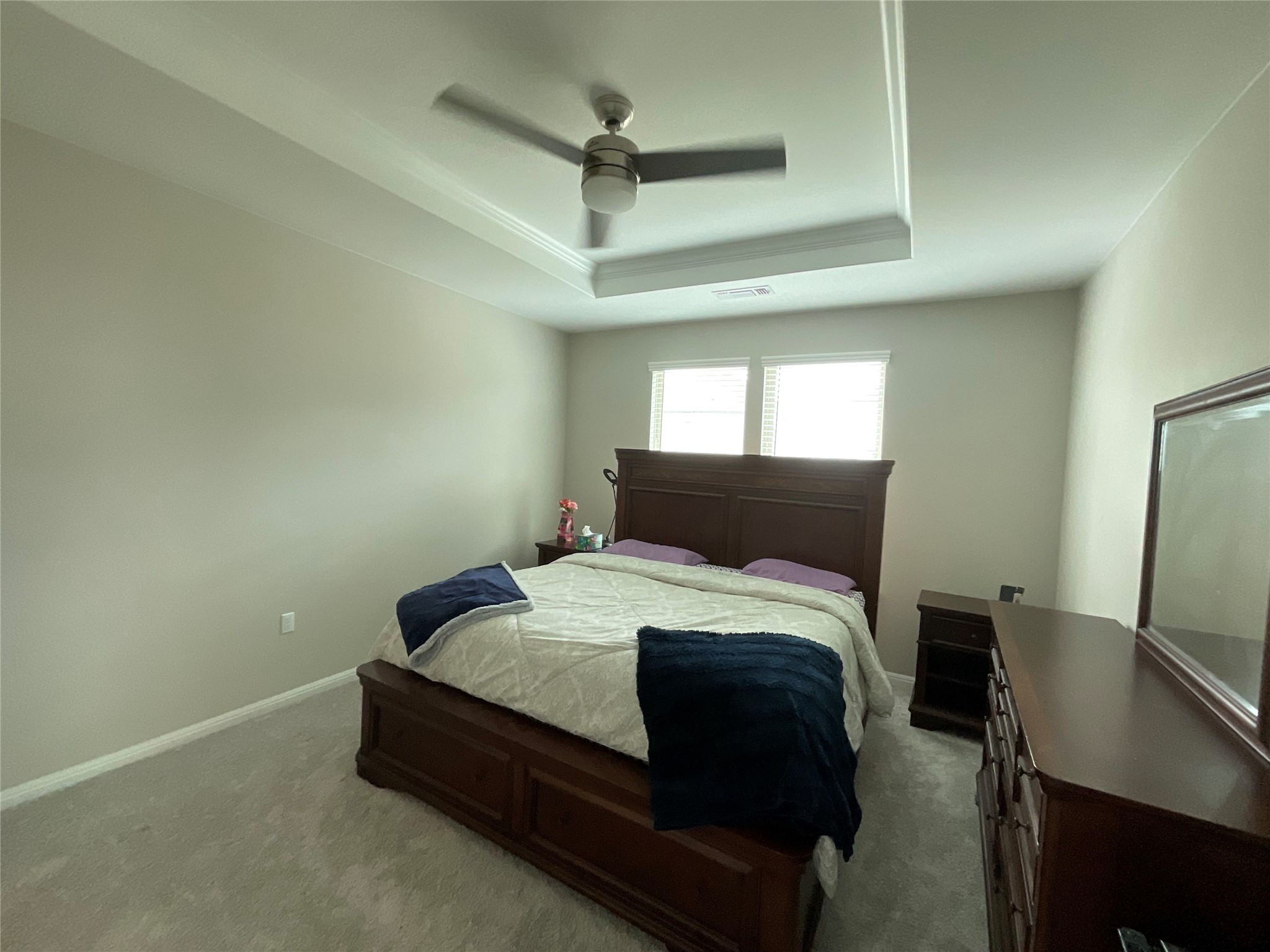 5425 Durango Pass Austin, TX 78724 - Photo 25 of 32 Primary bedroom with ceiling fan and a tray ceiling