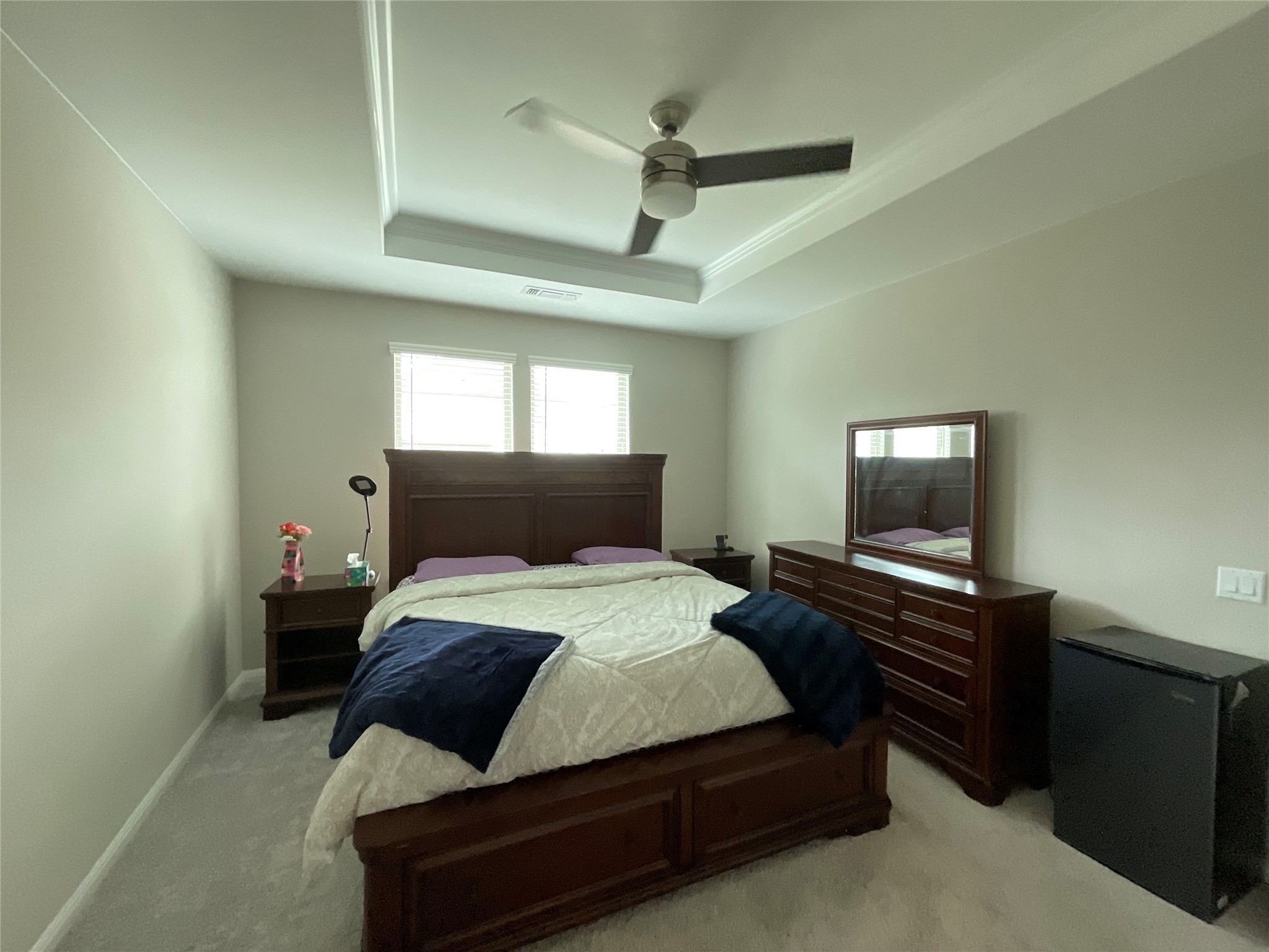 5425 Durango Pass Austin, TX 78724 - Photo 25 of 31 Primary bedroom with ceiling fan and a tray ceiling