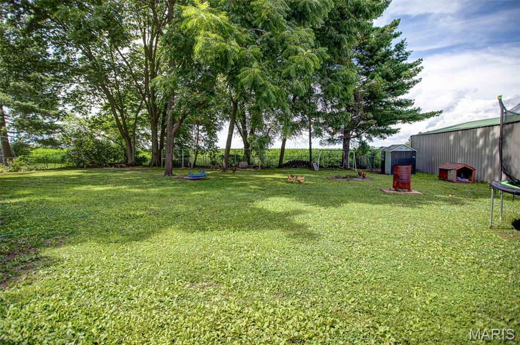 505 Hinton Street Kane, IL 62054 - Photo 52 of 61