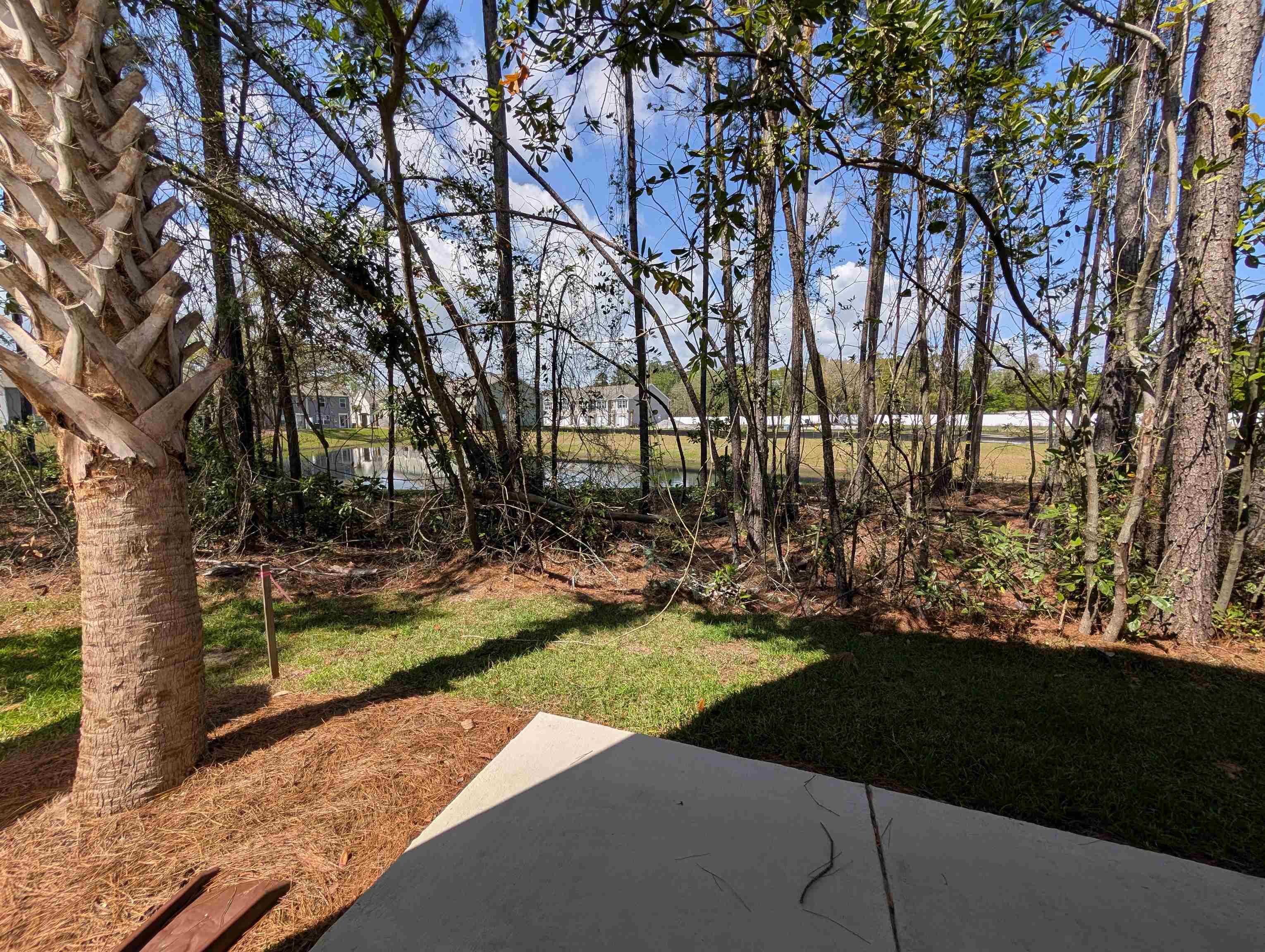 644 Golden Resin Road Conway, SC 29526 - Photo 3 of 39