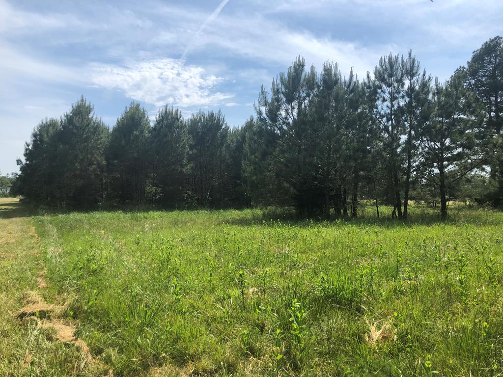 Lot 3 Green Landing Road, Unit 3 Onancock, VA 23417 - Photo 12 of 43