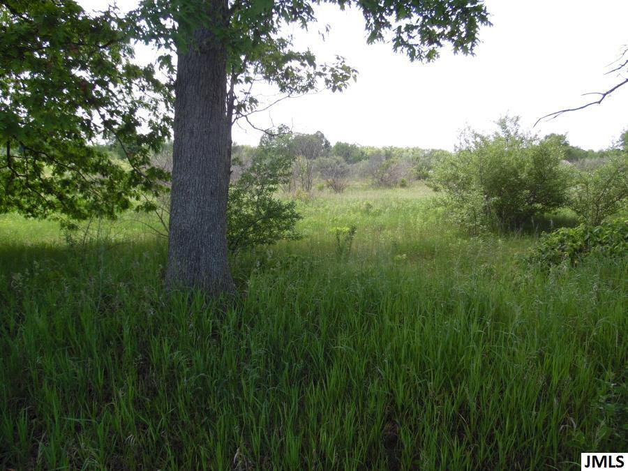 11211 Cooper Road Pleasant Lake, MI 49272 - Photo 1 of 7 Photo 1