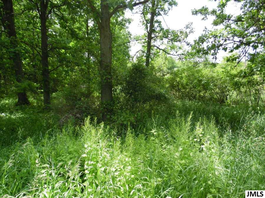11211 Cooper Road Pleasant Lake, MI 49272 - Photo 2 of 7 Photo 2