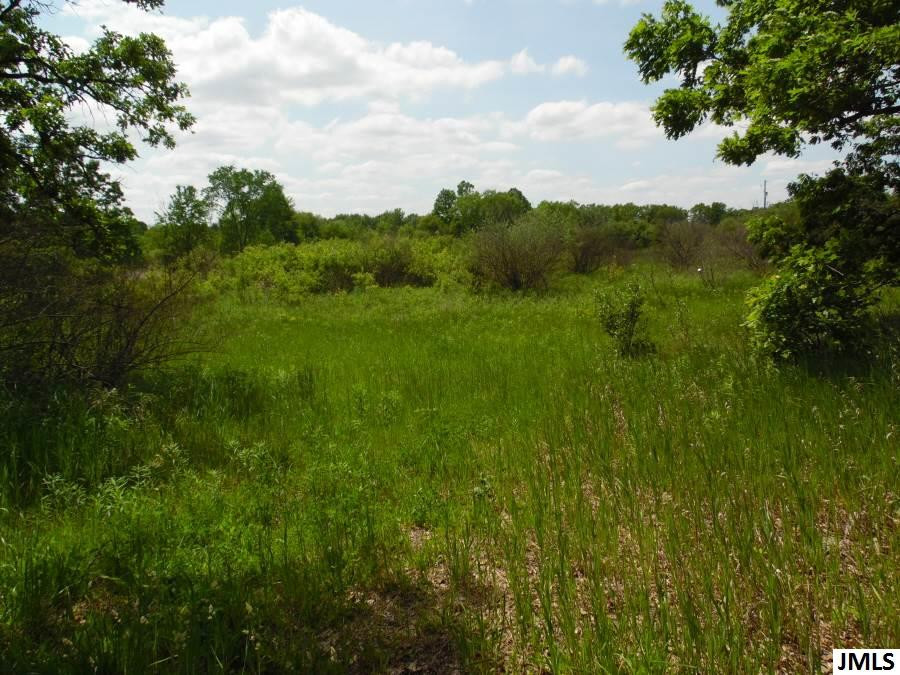 11211 Cooper Road Pleasant Lake, MI 49272 - Photo 3 of 7 Photo 3
