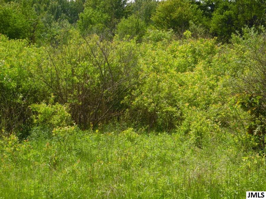 11211 Cooper Road Pleasant Lake, MI 49272 - Photo 4 of 7 Photo 4