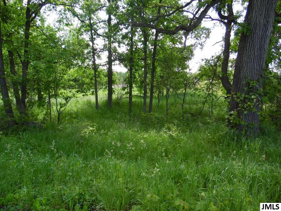 11211 Cooper Road Pleasant Lake, MI 49272 - Photo 5 of 7 Photo 5