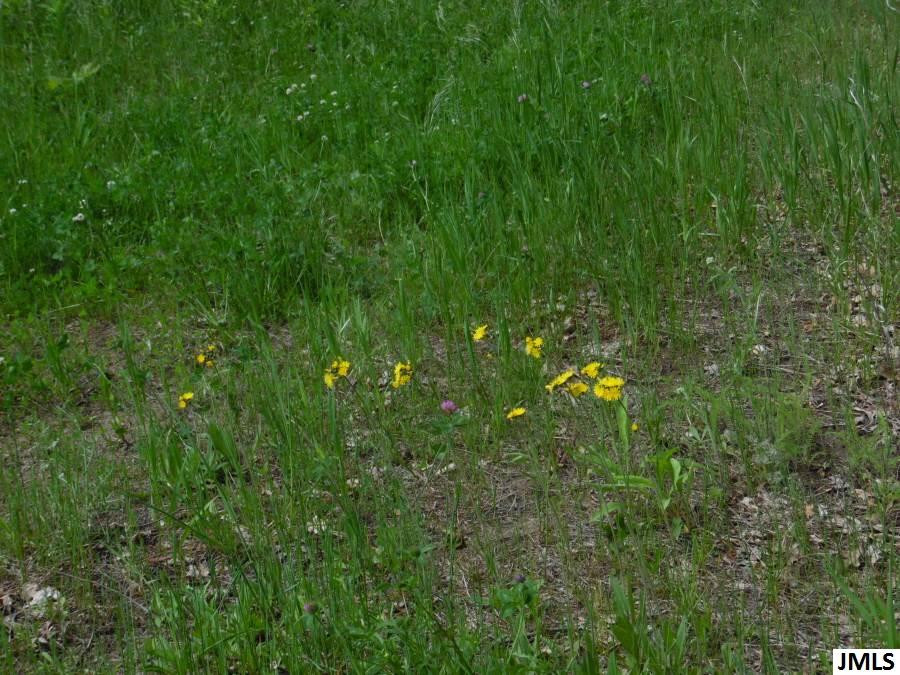 11211 Cooper Road Pleasant Lake, MI 49272 - Photo 6 of 7 Photo 6