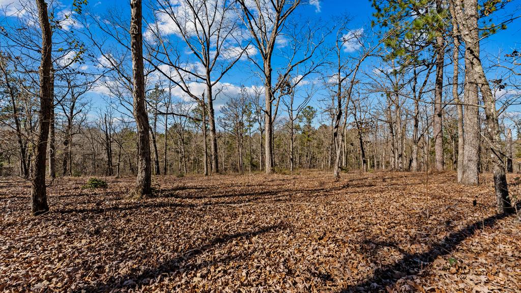 606 Herman Bell Road Mauk, GA 31058 - Photo 42 of 59 Gallery Image 42