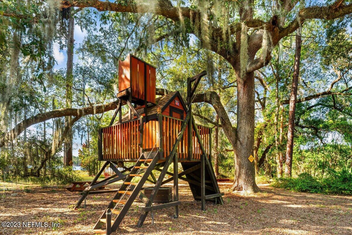 121 Peniel Church Road Palatka, FL 32177 - Photo 11 of 81 a backyard of a house with lots of trees