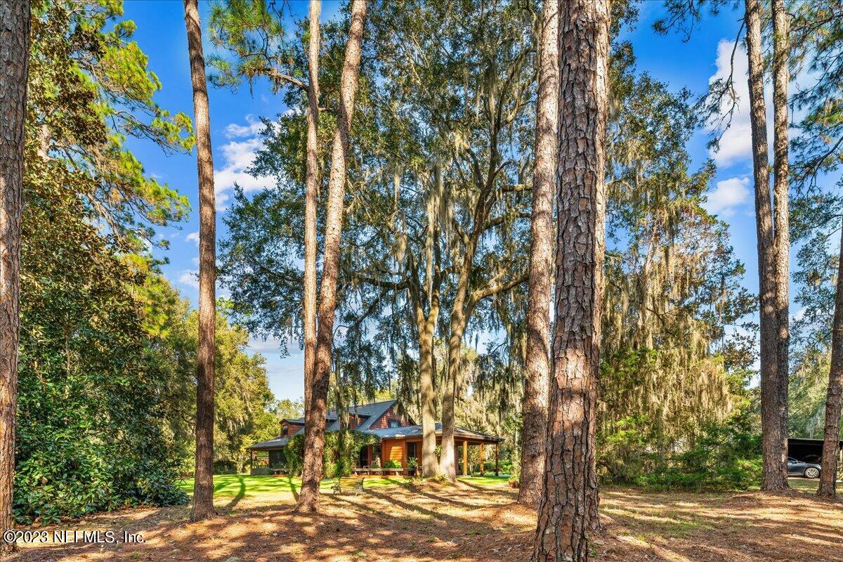 121 Peniel Church Road Palatka, FL 32177 - Photo 17 of 81 a view of outdoor space with street view