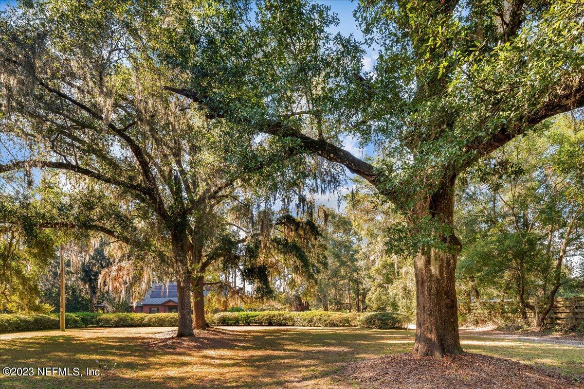 121 Peniel Church Road Palatka, FL 32177 - Photo 4 of 81 a view of large trees with yard
