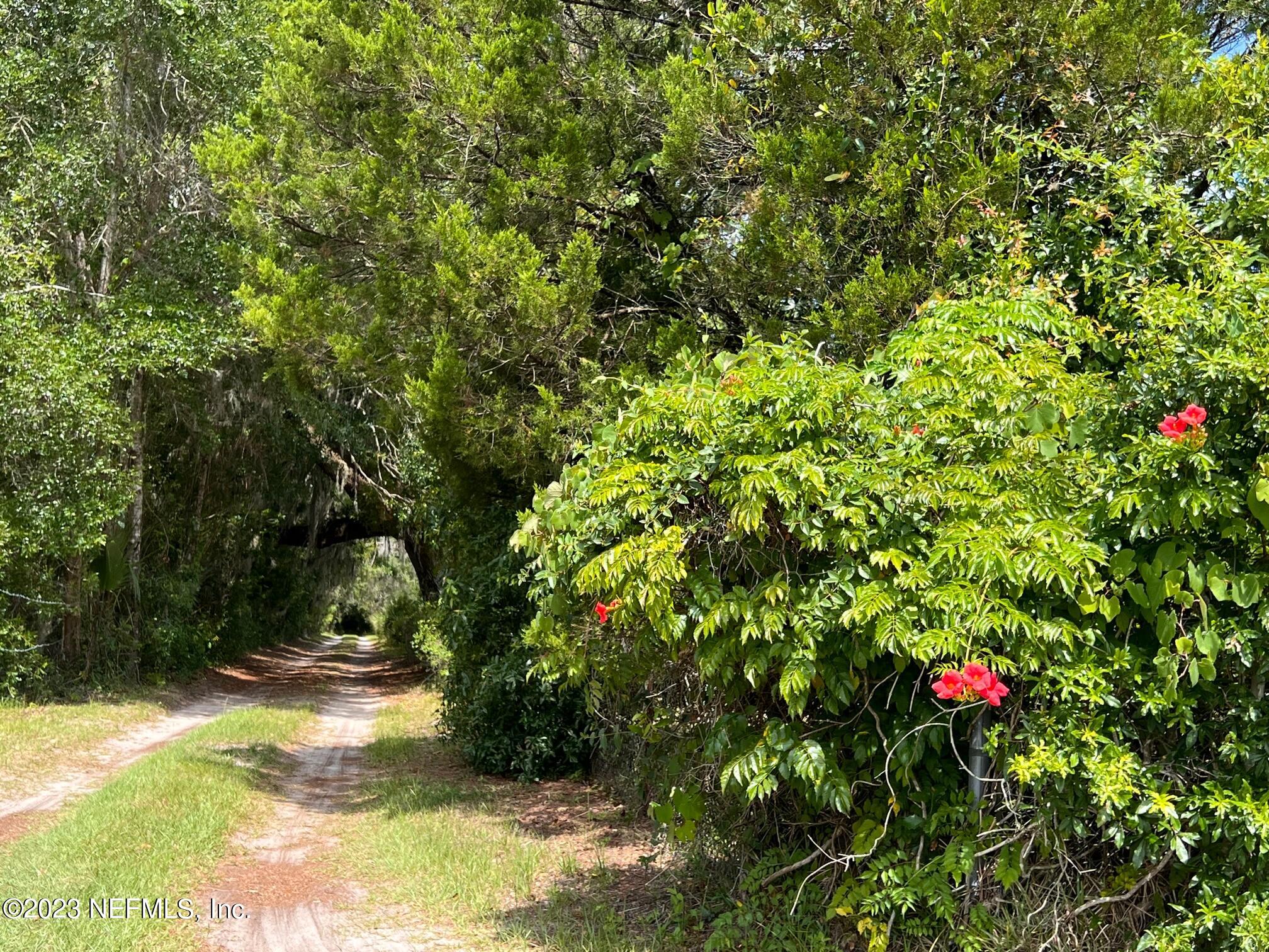 121 Peniel Church Road Palatka, FL 32177 - Photo 61 of 81 driveway
