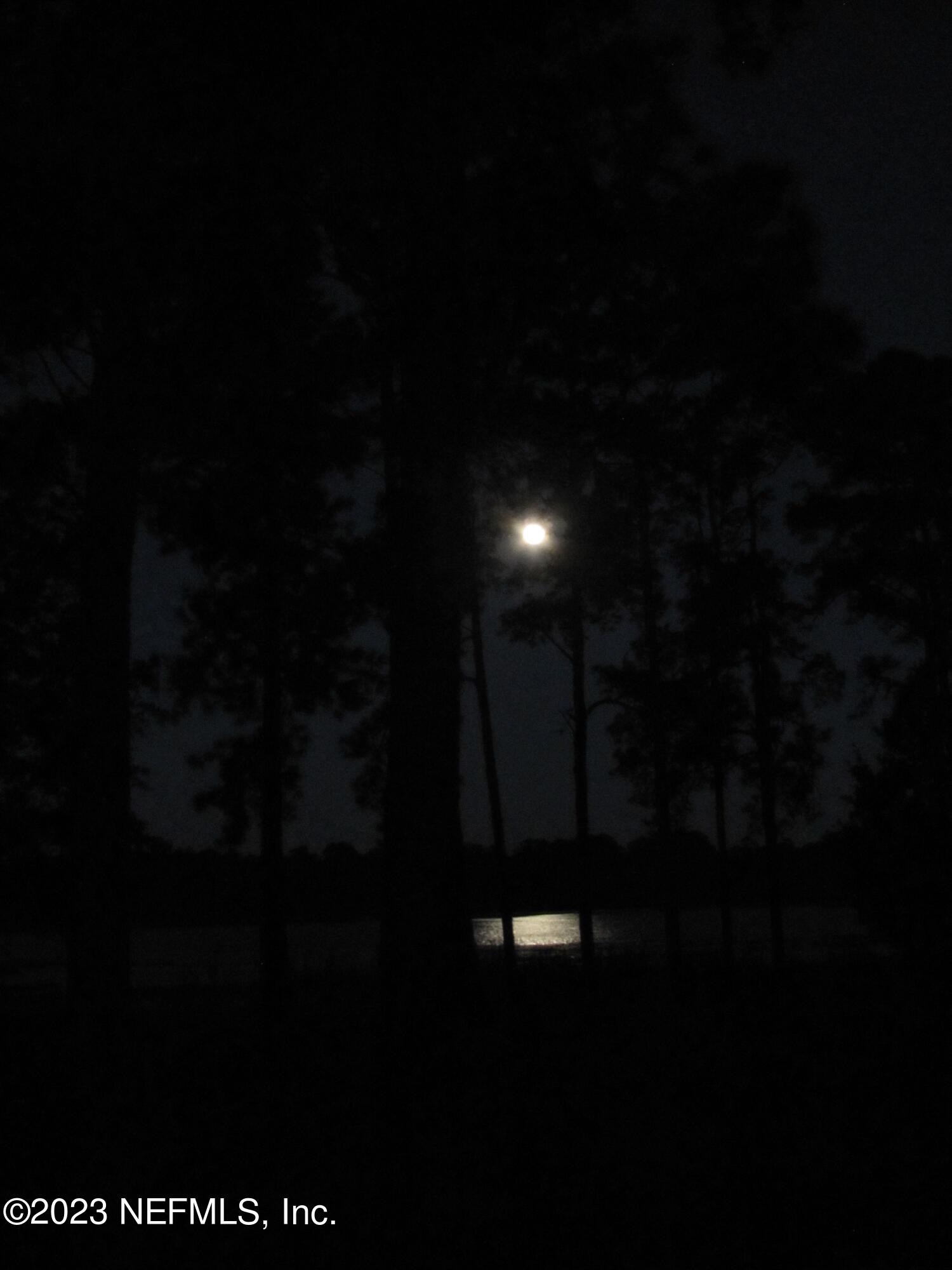 121 Peniel Church Road Palatka, FL 32177 - Photo 68 of 81 IMG_2476