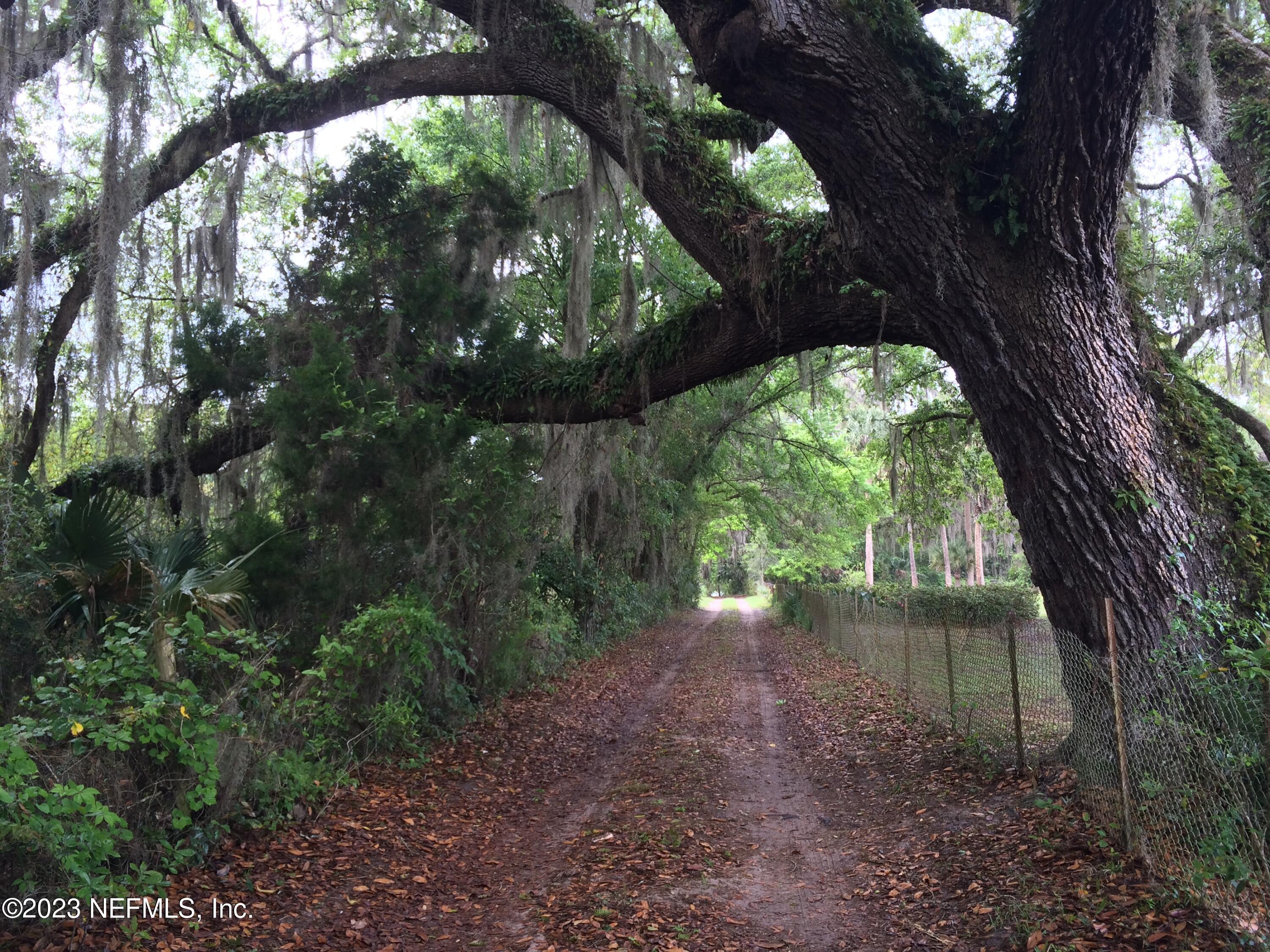 121 Peniel Church Road Palatka, FL 32177 - Photo 70 of 81 IMG_3480
