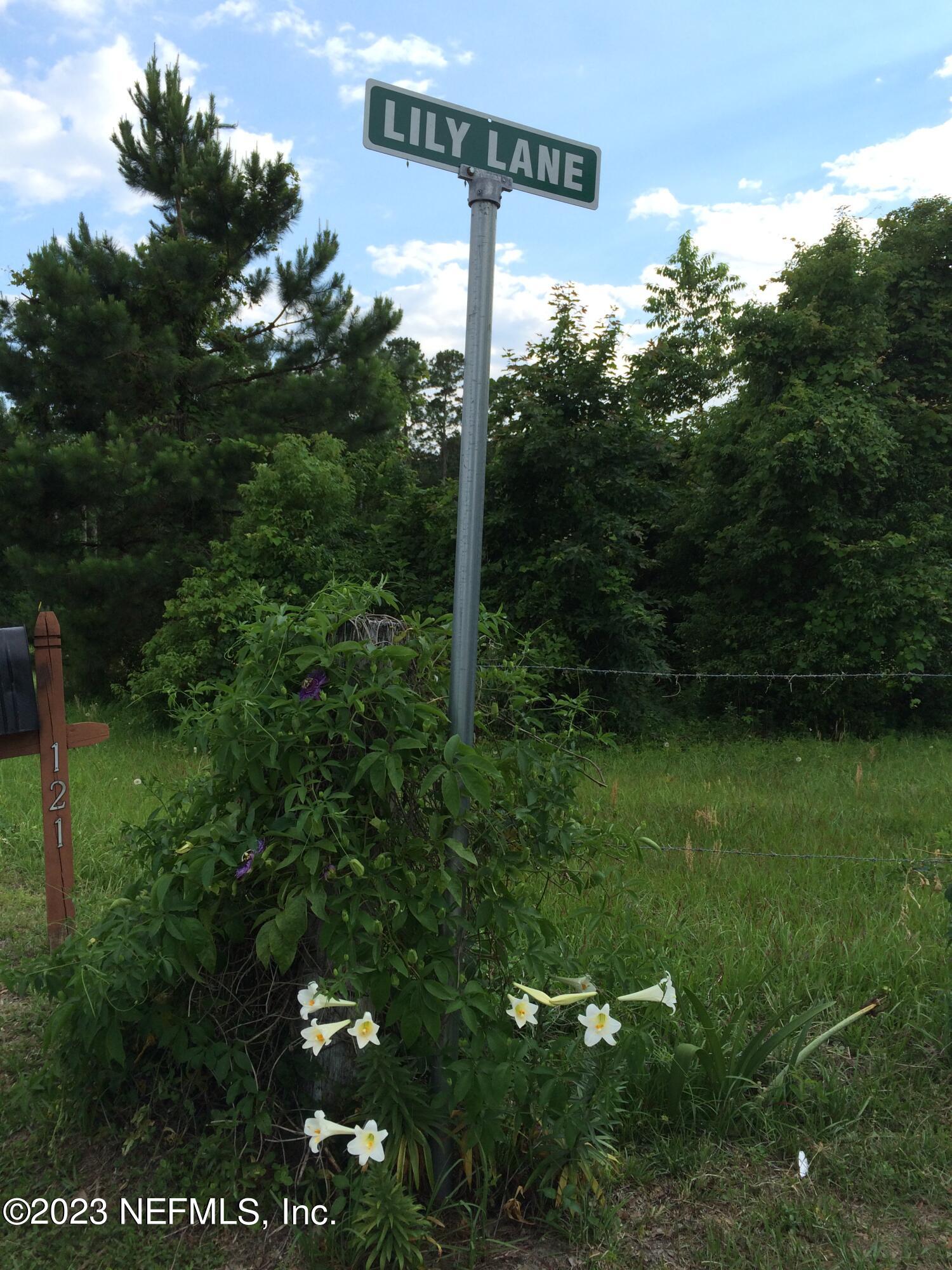 121 Peniel Church Road Palatka, FL 32177 - Photo 72 of 81 a view of a street with lots of trees