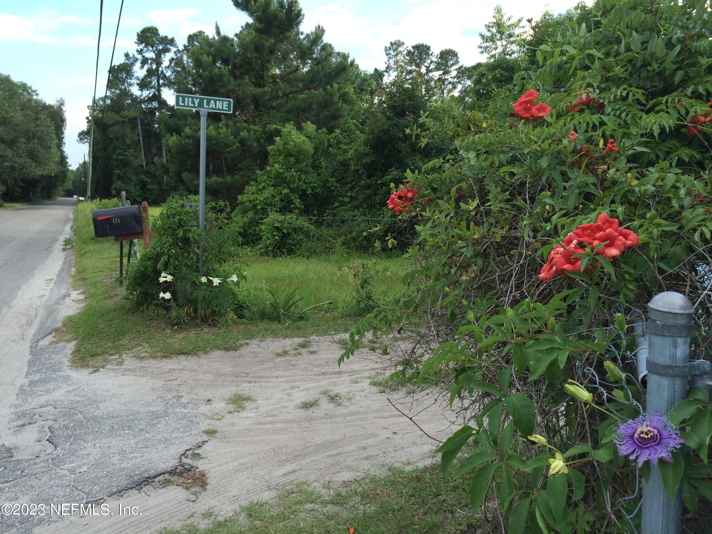 121 Peniel Church Road Palatka, FL 32177 - Photo 73 of 81 a view of a flower in a yard