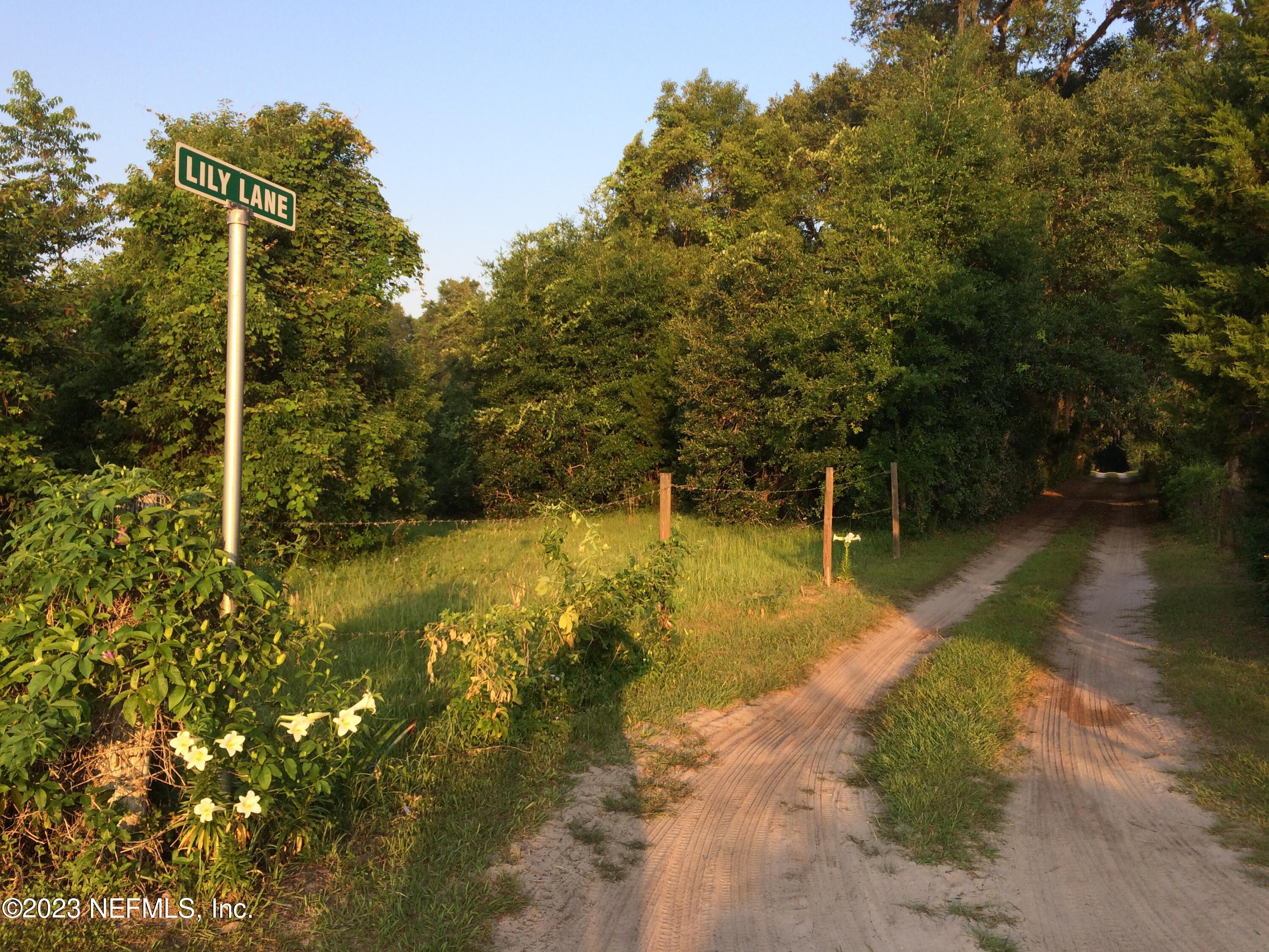 121 Peniel Church Road Palatka, FL 32177 - Photo 74 of 81 IMG_7654