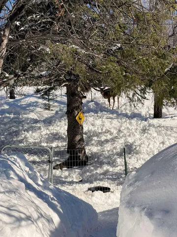 $159,900 | 22 Hays Circle, Silver Bay, MN 55614