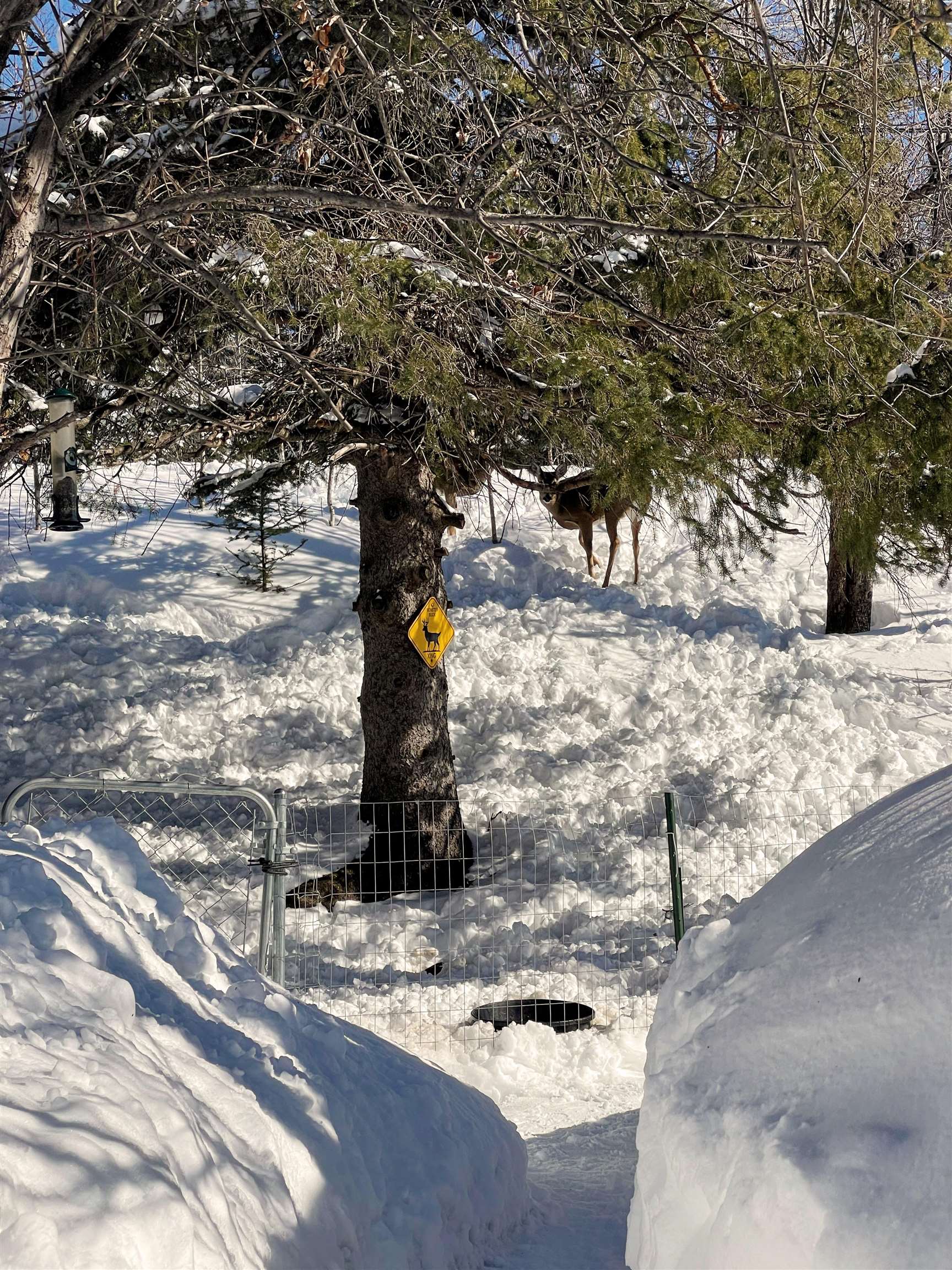 22 Hays Circle Silver Bay, MN 55614 - Photo 31 of 43